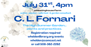 C.L. FORNARI - The H